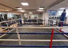 Innenansicht Boxring