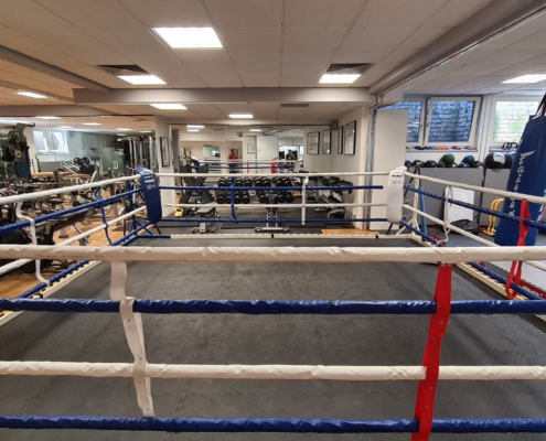 Innenansicht Boxring